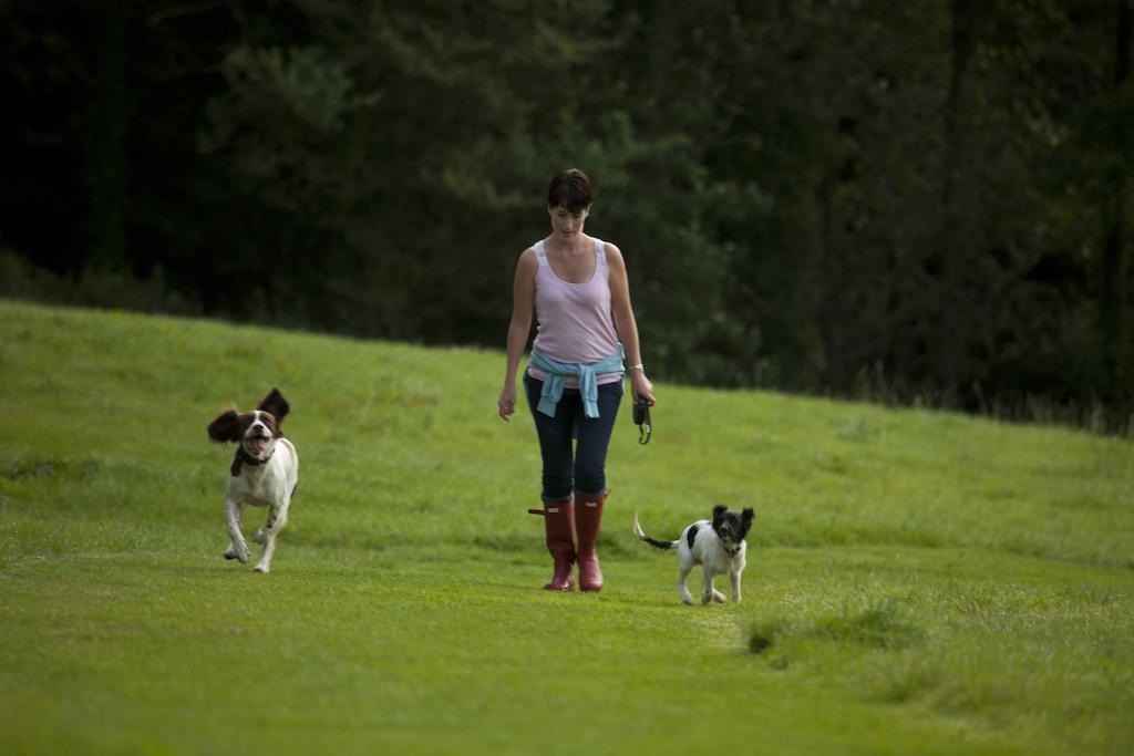 Wooda Farm Holidays Bude Eksteriør billede