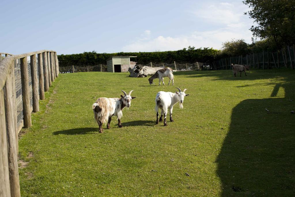 Wooda Farm Holidays Bude Eksteriør billede